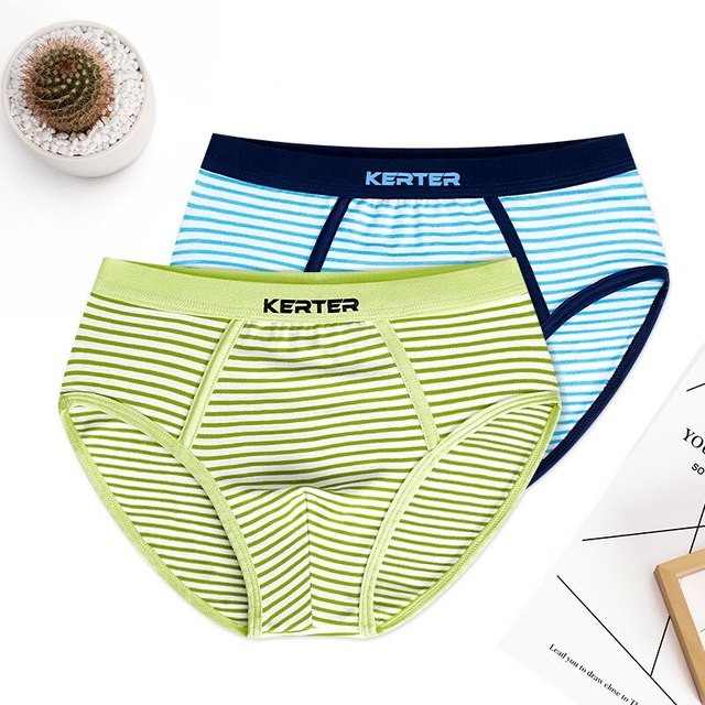 2Pcs Stretchy Striped Boys Underwear Brifes Cotton Boys Clothes Comfortable Kids Panties for 3 4 6 8 10 12 Years Old