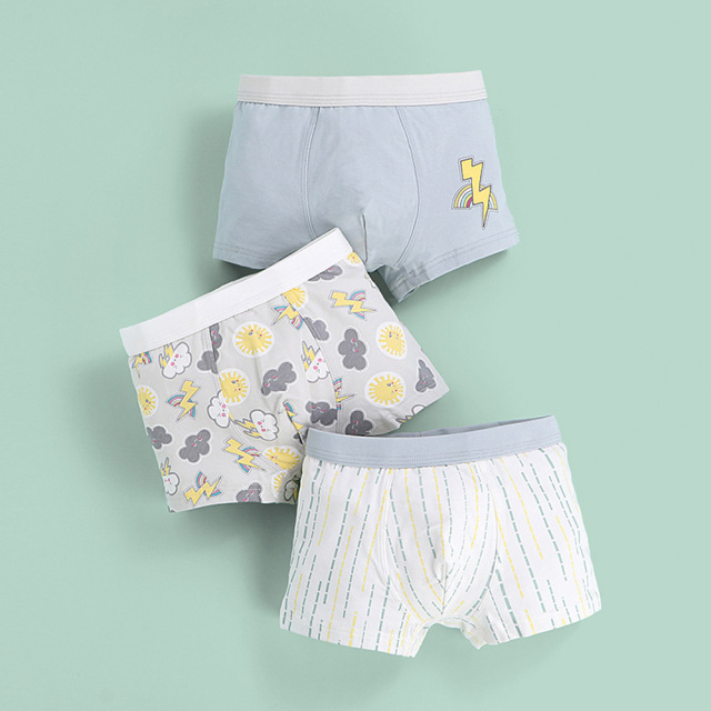 3 Pcs Pure Cotton Soft Children Underwear Boys Panties Cartoon Pattern Kids Boxer Briefs Child Boy Pants 2-12 Years