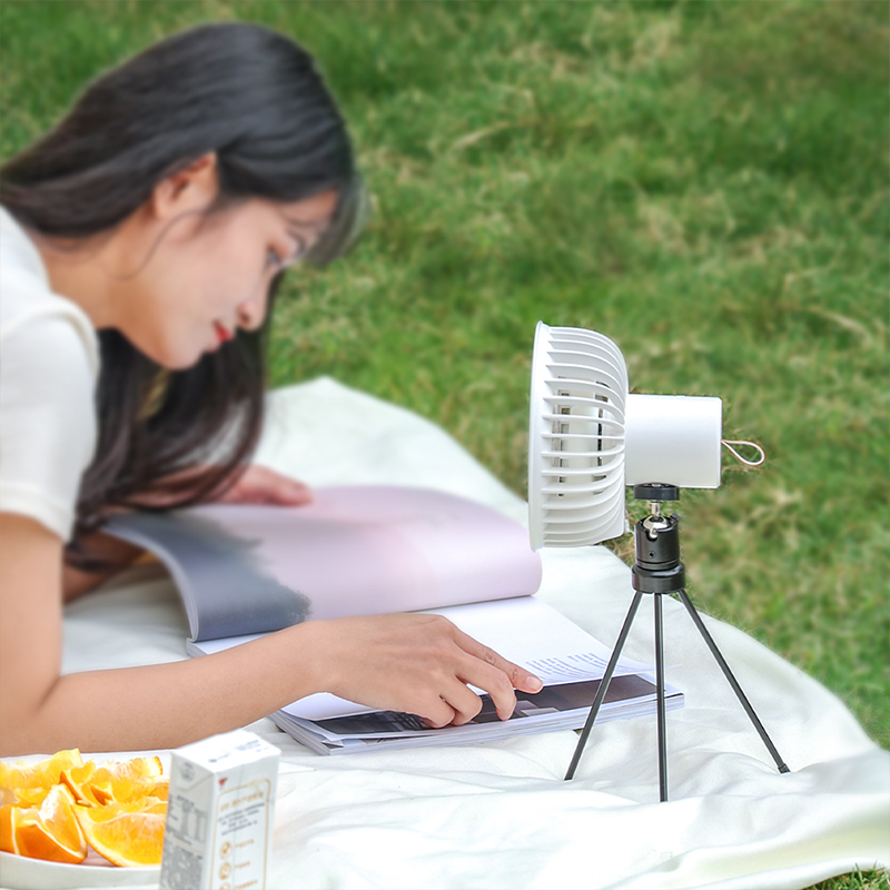 Multifunctional Mini Fan USB Rechargeable Portable Fan Outdoor Camping Tripod Ceiling Fan with Led Light and Control 4-speed