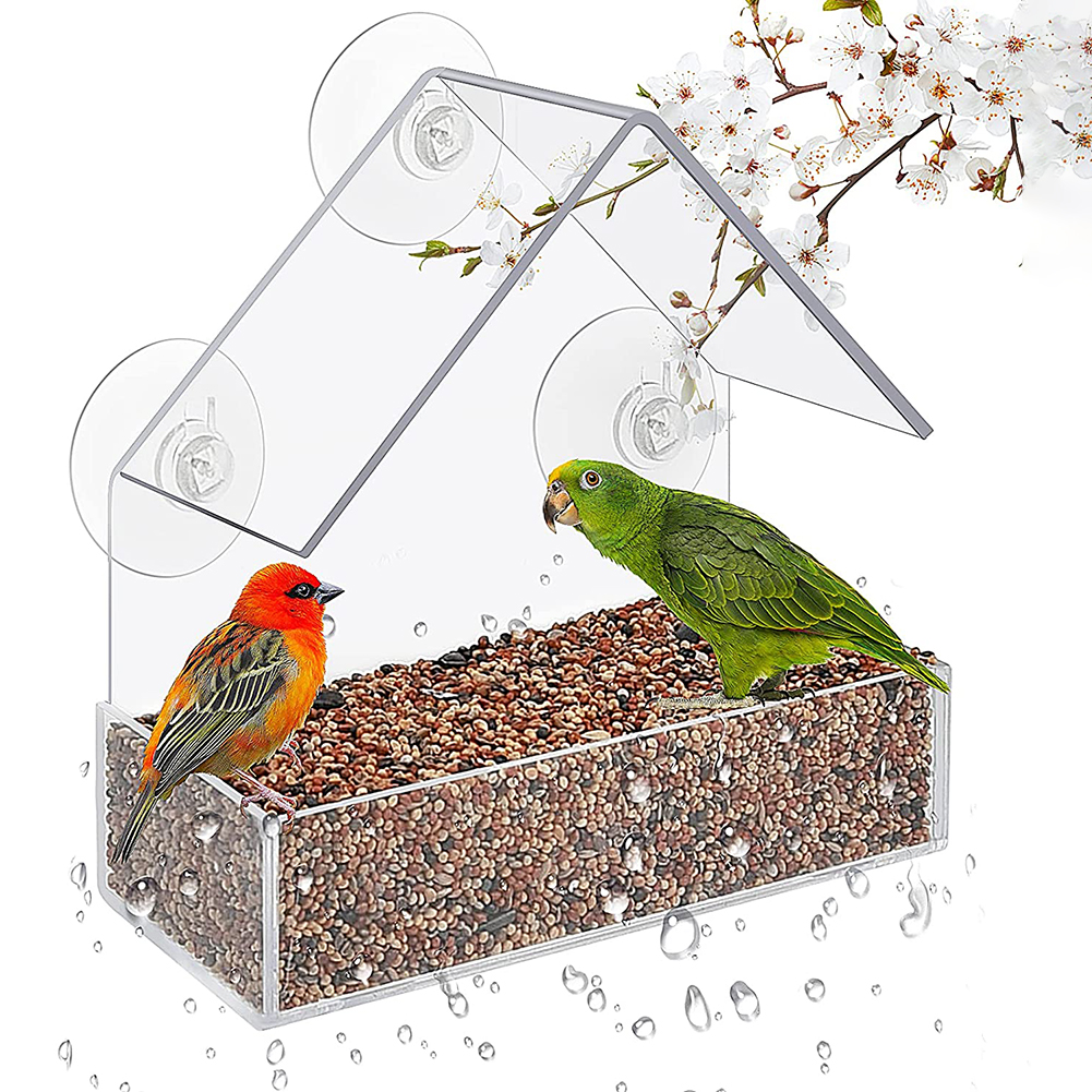 Transparent Bird Feeder Suction Cup Mounted Acrylic Birdhouse Food Feeding Tool Comedero Pajaro Birds Accessoires