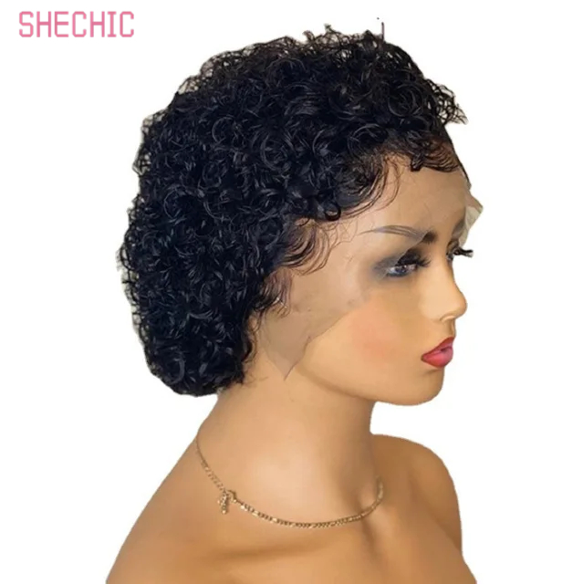 100% Raw Virgin Human Hair  Wig,Brazilian Hair Hd Full Lace Frontal  Wigs,Aligned Virgin Hair Wigs 6INCH 100g