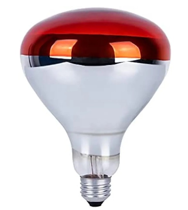 Infrared Brooder Heat Lamp Bulb, Poultry, chicken Bulb White M