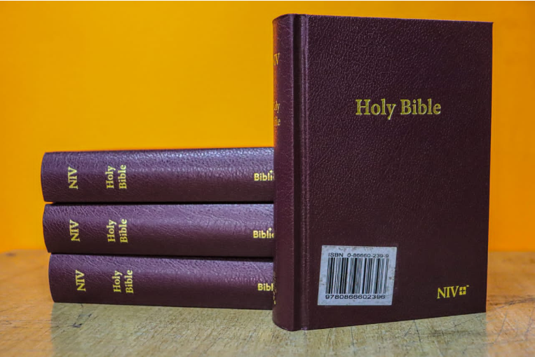 NIV Holy Bible