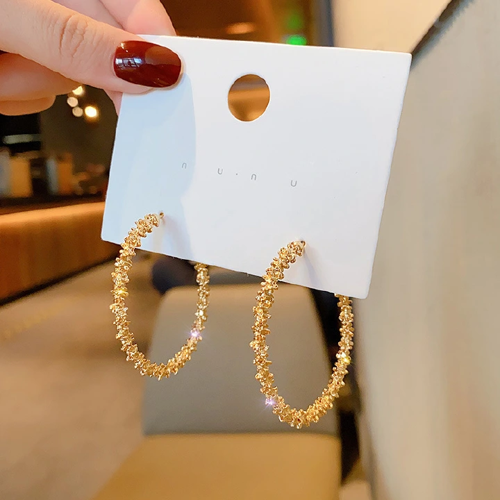 Popular large circle earrings for women's temperament, popular on the internet, high-end, atmospheric, fashionable earrings, simple and retro new earrings trend